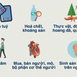 ngành, nghề cấm kinh doanh