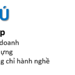 header luat viet phu