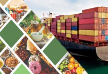 Giấy phép xuất nhập khẩu