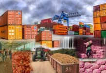 Giấy phép xuất nhập khẩu sang Trung Quốc