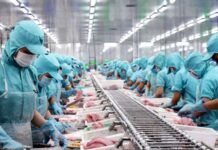 Giấy phép sản xuất thực phẩm: Áp dụng cho nhà máy, yêu cầu kiểm tra thiết bị tiên tiến.