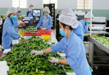 Giấy chứng nhận an toàn thực phẩm từ cơ quan xuất khẩu